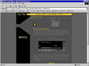 303tek.gif (7020 bytes)